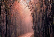 ESPN：绿军出售可能是NBA扩军的前奏，萧华表示一直关注西雅图.