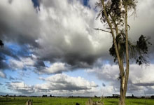 问鼎娱乐：[NBA]布克41分4板7助 太阳主场力克公牛.