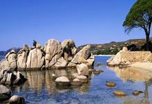 问鼎娱乐：曼城连续七个赛季闯入足总杯四强.